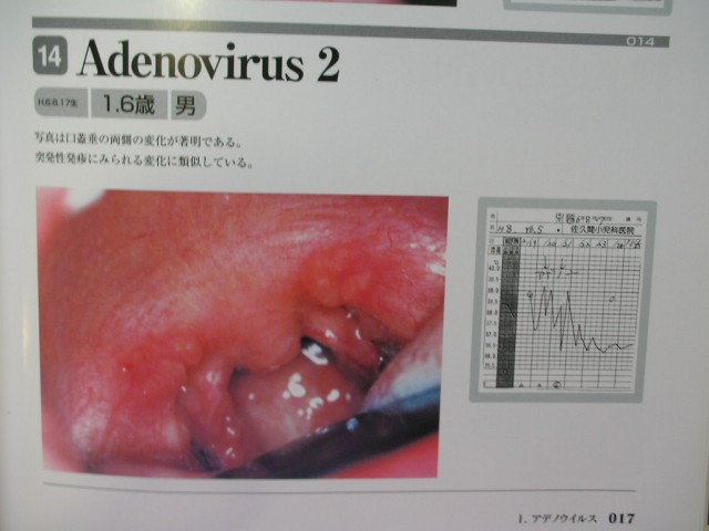 DSCN2823.JPG