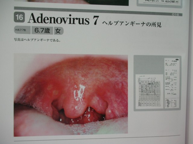 DSCN2826.JPG
