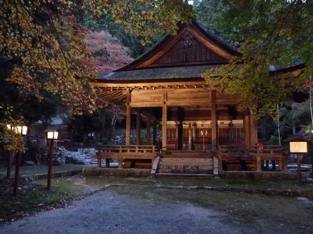 P1040136.JPG